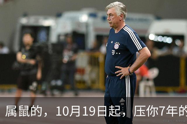 属鼠的，10月19日起，压你7年的死结，终于松了，从此一飞冲天